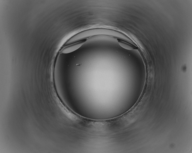 X0000091591246200708201223