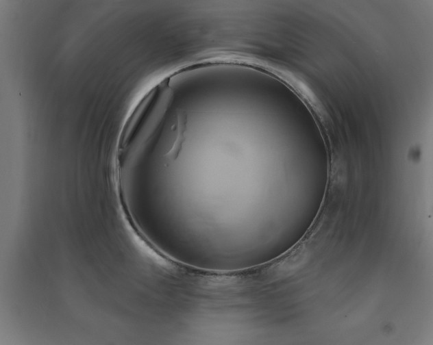 X0000091591247200708201223