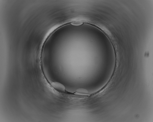 X0000091591248200708201223