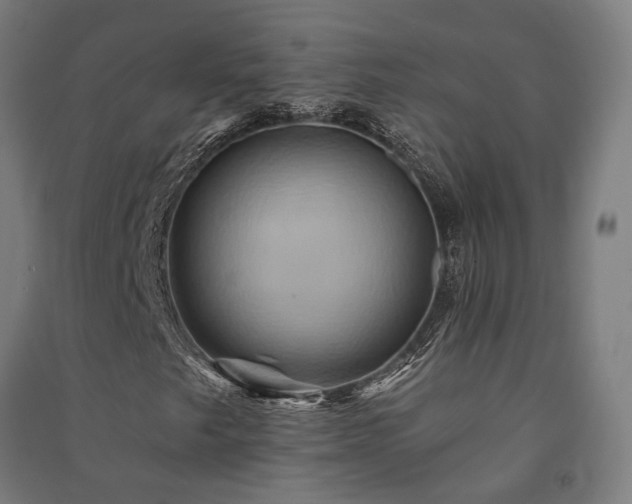 X0000091591249200708201222