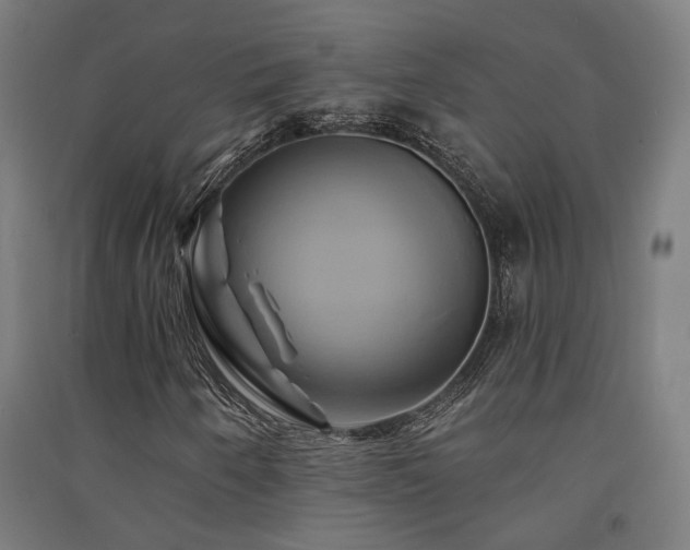 X0000091591250200708201222