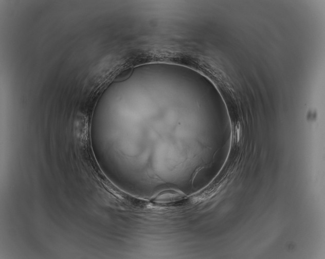 X0000091591251200708201222