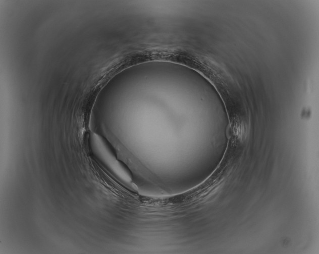 X0000091591252200708201222