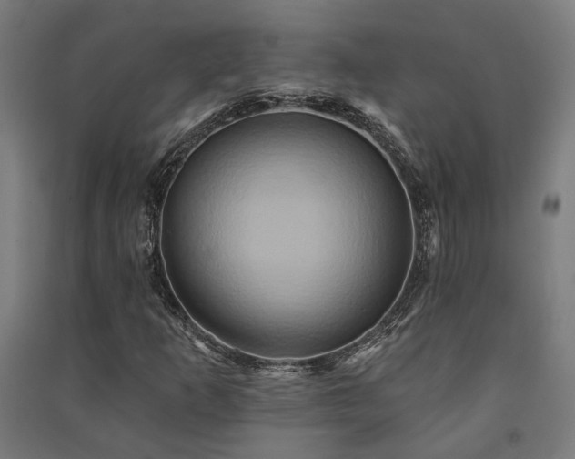 X0000091591253200708201222
