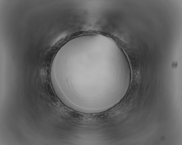 X0000091591254200708201222