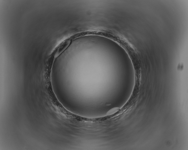 X0000091591256200708201222