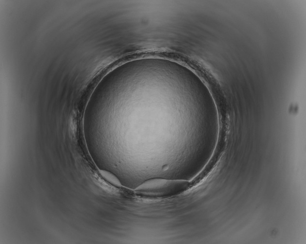 X0000091591257200708201222