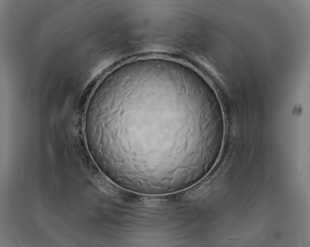 X0000091591258200708201222