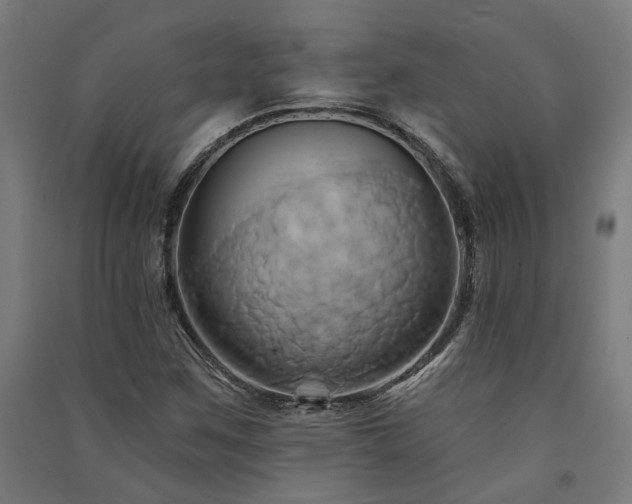 X0000091591259200708201222