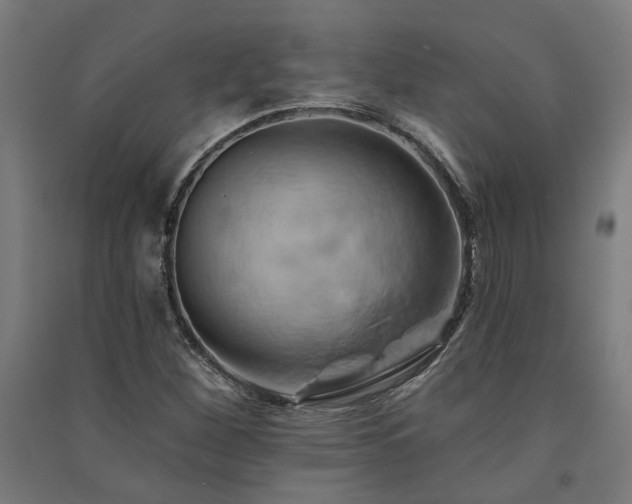 X0000091591260200708201222
