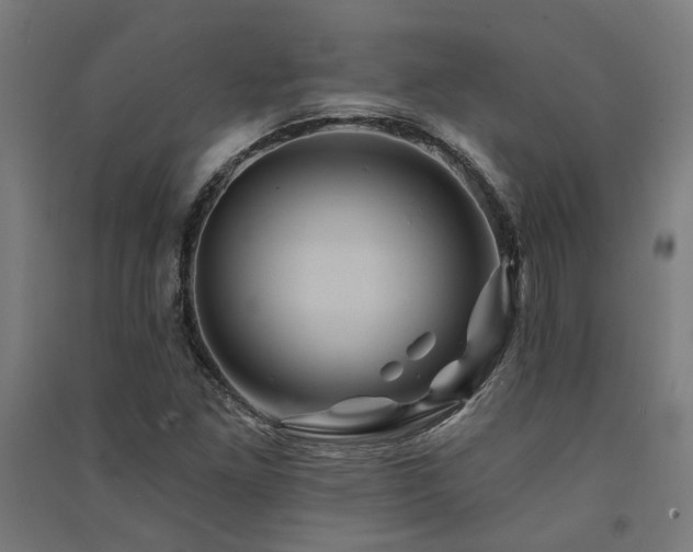 X0000091591261200708201222