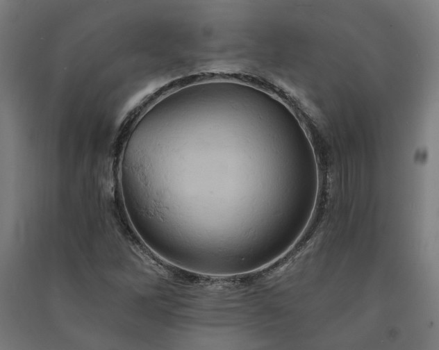X0000091591262200708201222