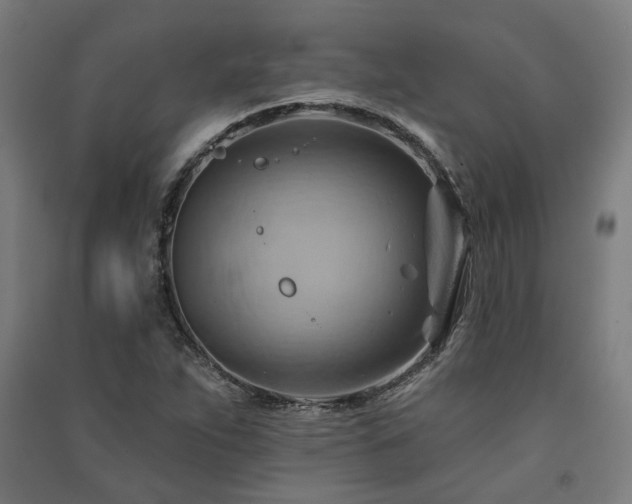 X0000091591263200708201222