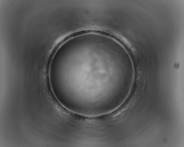 X0000091591264200708201222