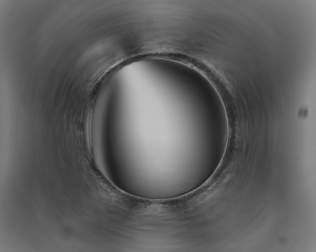 X0000091591265200708201222