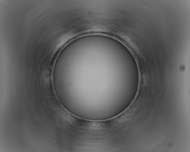 X0000091591266200708201222