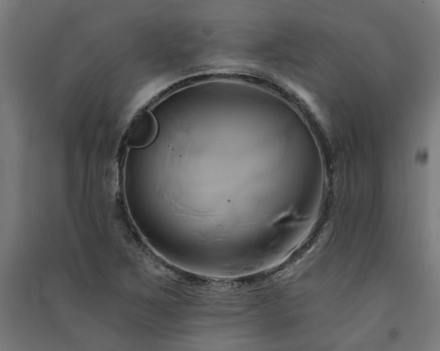 X0000091591267200708201222