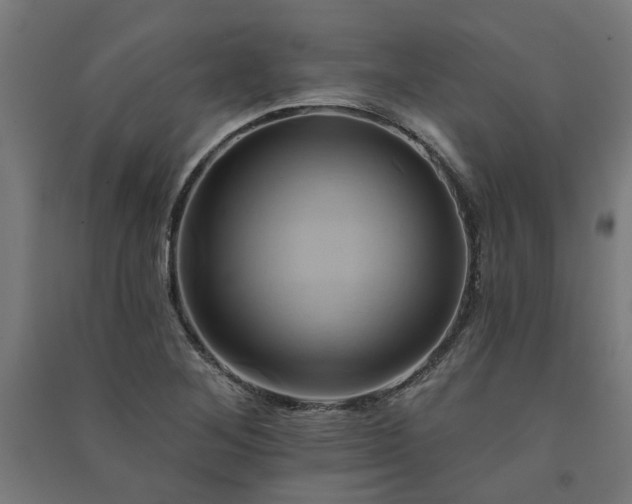 X0000091591268200708201222