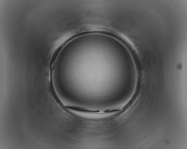 X0000091591269200708201222