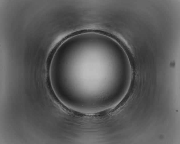 X0000091591270200708201222