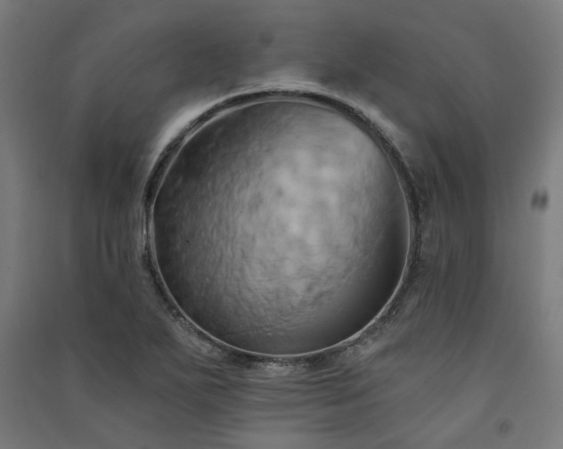 X0000091591271200708201222