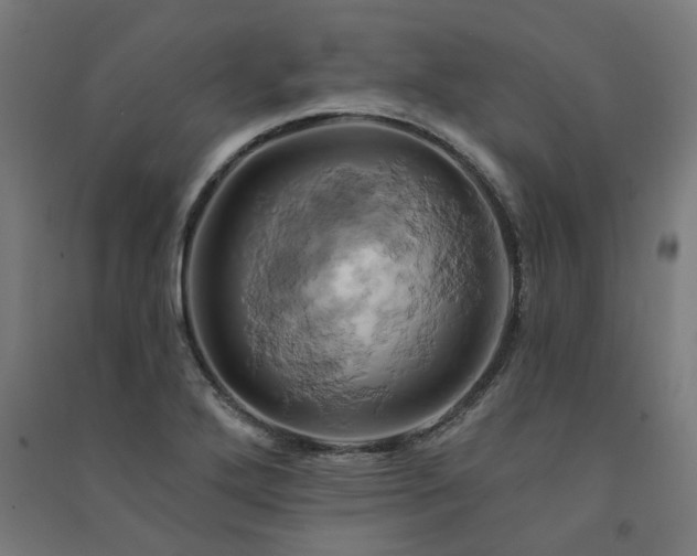 X0000091591272200708201222