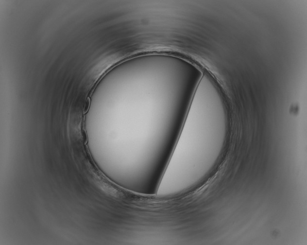 X0000091591273200708201222