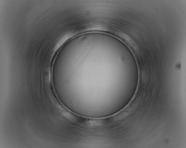 X0000091591274200708201222