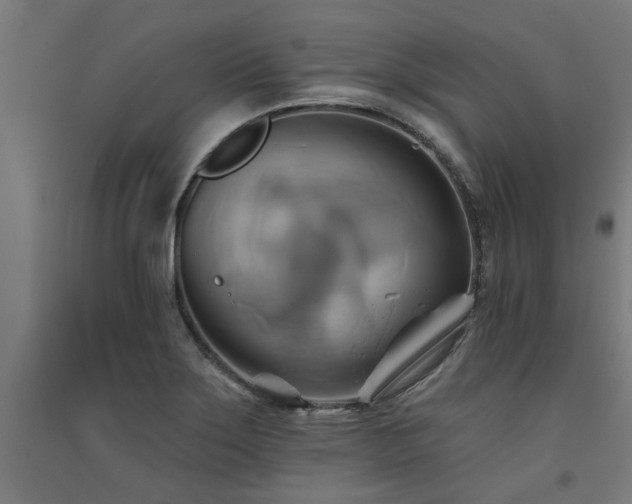 X0000091591275200708201222