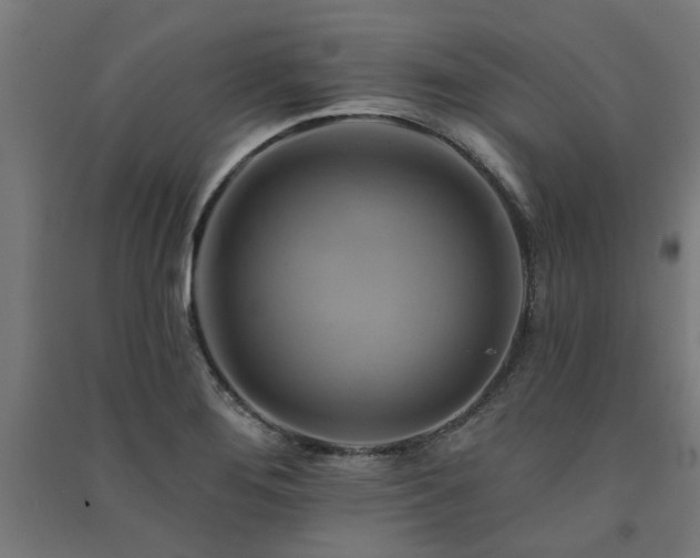 X0000091591276200708201222