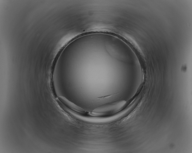 X0000091591277200708201222