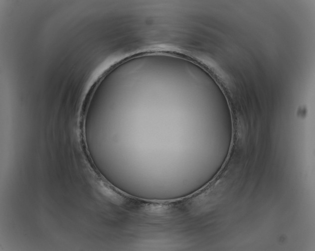 X0000091591278200708201222