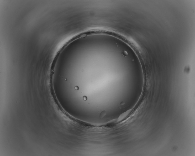 X0000091591279200708201222