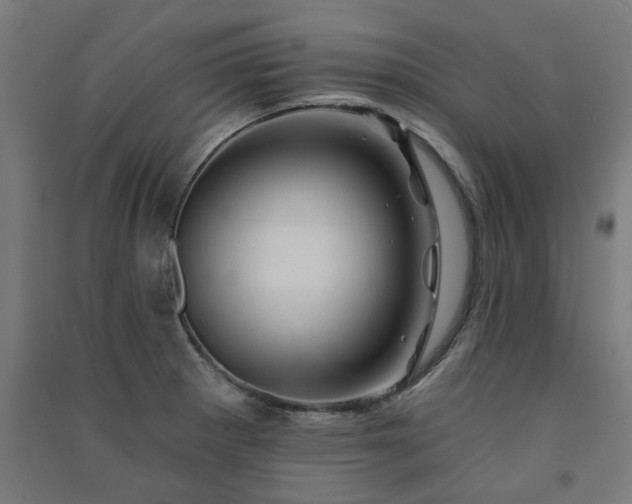 X0000091591281200708201222