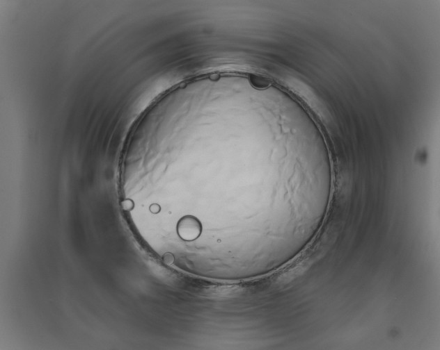 X0000091591282200708201222