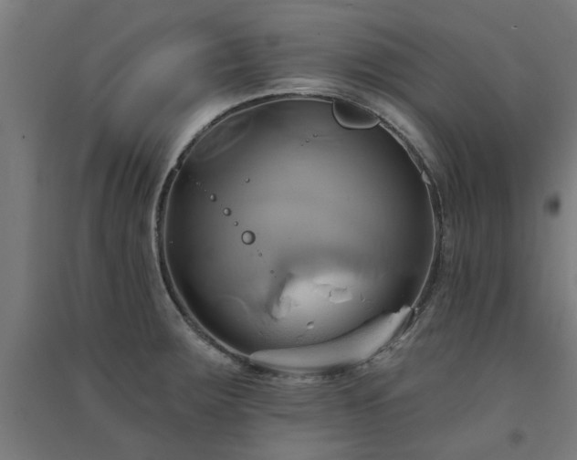 X0000091591283200708201222