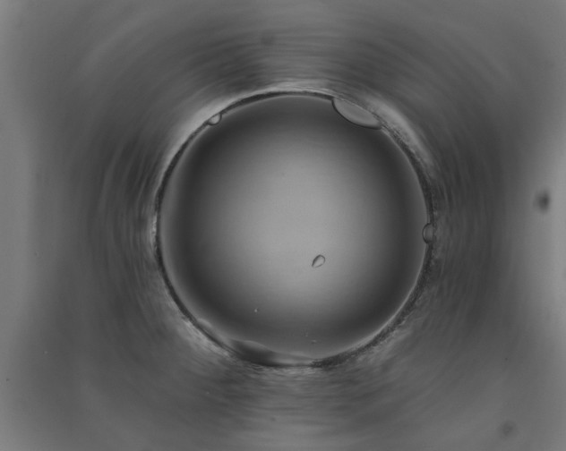 X0000091591284200708201222