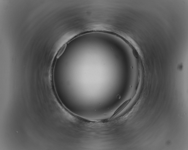 X0000091591285200708201222
