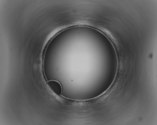 X0000091591286200708201222