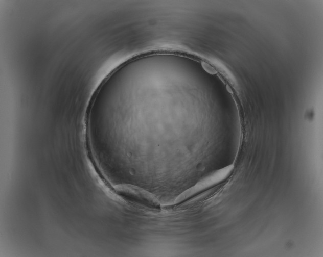X0000091591287200708201222