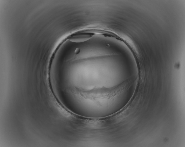X0000091591288200708201222
