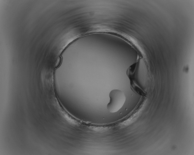 X0000091591289200708201222