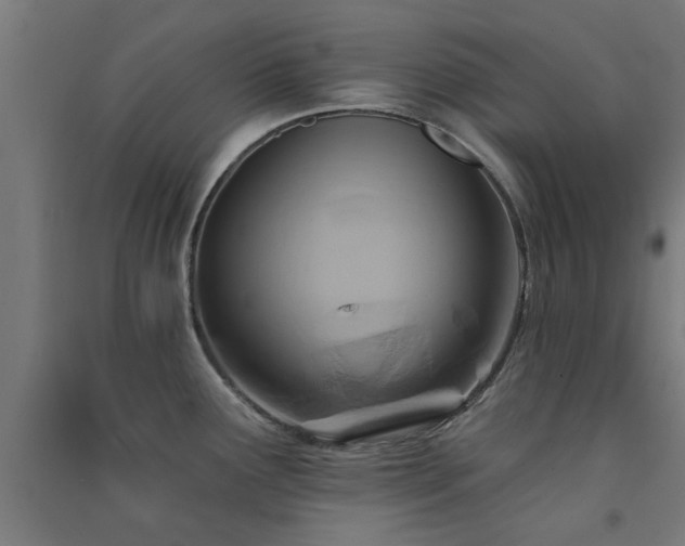 X0000091591291200708201222