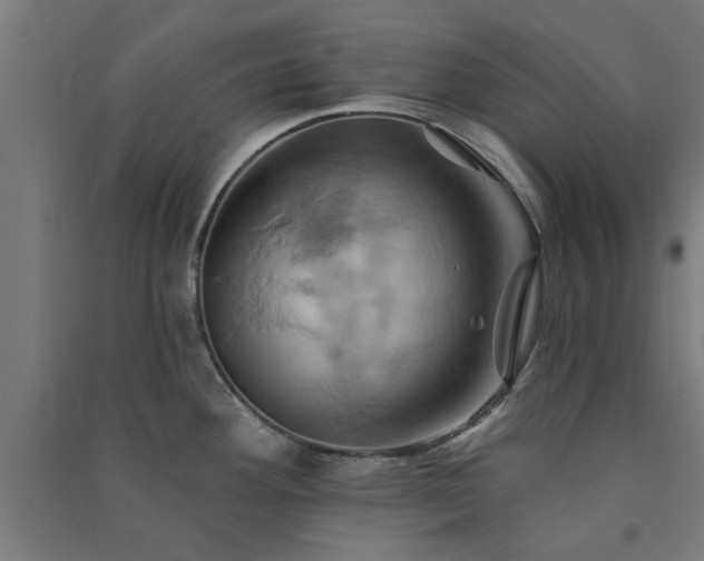 X0000091591292200708201222