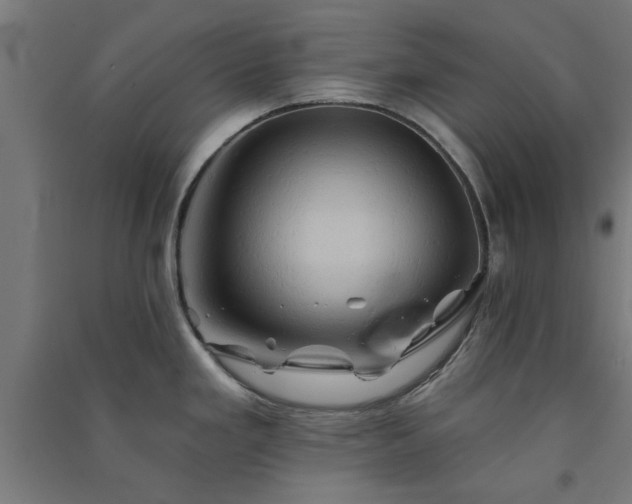 X0000091591293200708201222