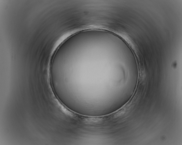 X0000091591294200708201221