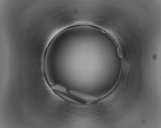 X0000091591295200708201221