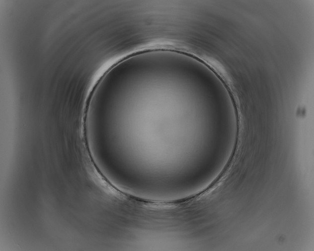 X0000091591296200708201221