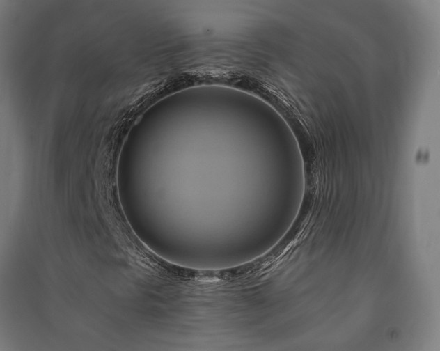 X0000091591297200708201221
