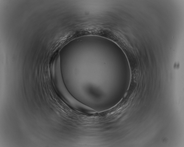 X0000091591298200708201221